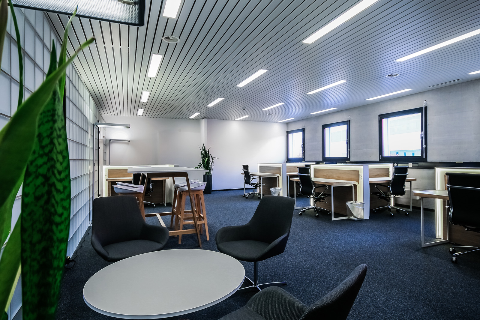 Co-Working-Cassiopee