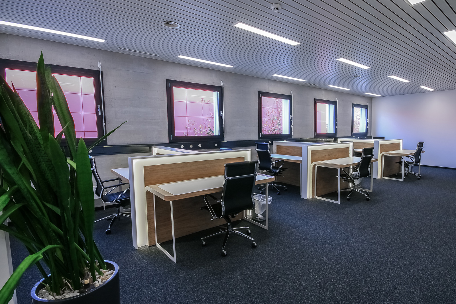 Co-Working-Cassiopee